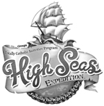 High Seas logo